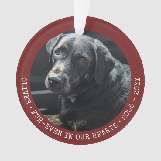 ペットメモリーキャットドッグフォーエバーパーソナライズされたト オーナメント (正面)