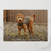 ペットメリーの写真を見る 箔シーズンカード (正面)