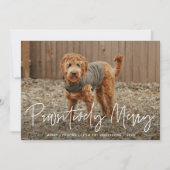 ペットメリーの赤い写真 シーズンカード (正面)