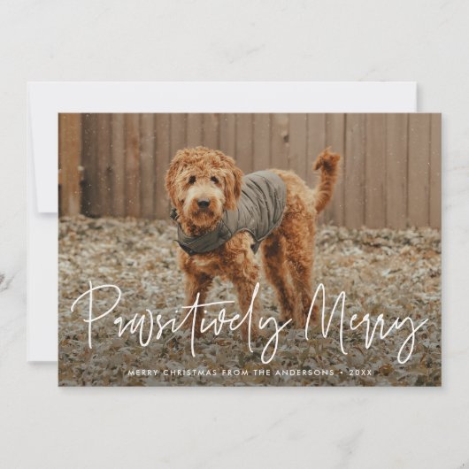 ペットメリーの赤い写真 シーズンカード (正面)