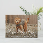 ペットメリーの赤い写真 シーズンカード (スタンド正面)