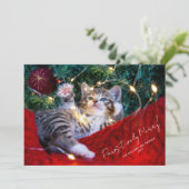 ペットモダンのフォトスクリプトメリー シーズンカード (スタンド正面)