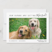 ペットモダンの写真の日付の保存 セーブザデート (正面)