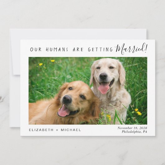 ペットモダンの写真の日付の保存 セーブザデート (正面)