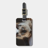 ペットモダンの猫写真 ラゲッジタグ (正面縦)