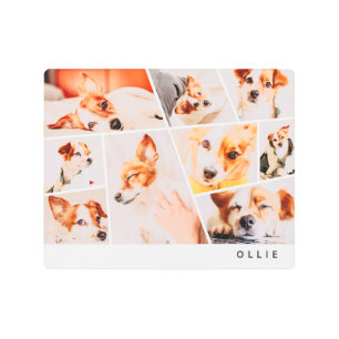 ペットモダンシンプルカスタム9フォトコラージュ メタルプリント