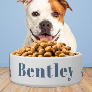 ペットモダンドッグパーソナライズされたほこりっぽい青いフードウォーター ボウル