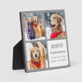 ペットモダンドッグ記念写真コラージュ フォトプラーク (正面)