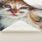 ペットモダンフォトドッグパーソナライズされた猫好き シェルパブランケット (3/4)