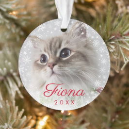 ペットモダンフォトポープリントとスノーフレークフレーム オーナメント