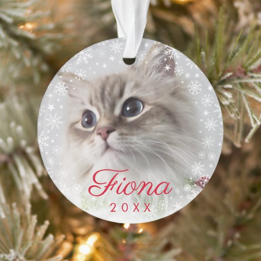 ペットモダンフォトポープリントとスノーフレークフレーム オーナメント (ツリー)
