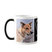 ペットモダンフォトメモリハート白黒モーフィング