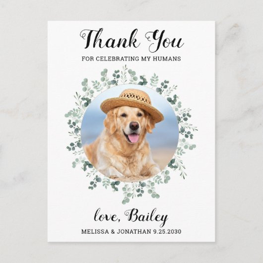 ペットモダンフォトユーカリ犬結婚の感謝 ポストカード (正面)