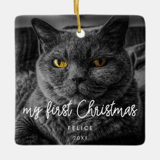 ペットモダンフォト初めてのクリスマスホリデイ セラミックオーナメント (正面)