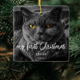ペットモダンフォト初めてのクリスマスホリデイ セラミックオーナメント