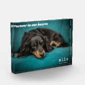 ペットモダンメモリアルカスタムオーバーレイペット フォトブロック (左)