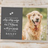 ペットモダンメモリシンプルーのシックな詩の写真 サンキューカード