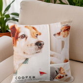 ペットモダンメモリシンプルー写真集 クッション