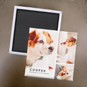 ペットモダンメモリシンプルー写真集 マグネット