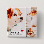 ペットモダンメモリシンプルー写真集 缶バッジ (正面)