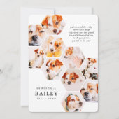 ペットモダンメモリシンプルー10フォトコラージュカード (正面)