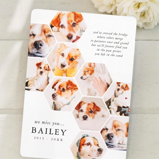 ペットモダンメモリシンプルー10フォトコラージュカード