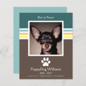 ペットモダンロス記念カード (正面/裏面)