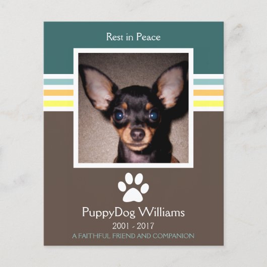 ペットモダンロス記念カード (正面)