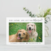 ペットモダン写真婚約告知 案内状 (スタンド正面)