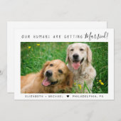 ペットモダン写真婚約告知 案内状 (正面/裏面)