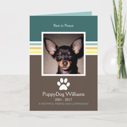 ペットモダン紛失記念カード カード (正面)