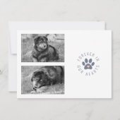 ペットモダン記念写真お祝いの生活 案内状 (裏面)