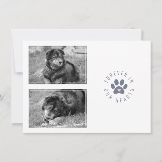 ペットモダン記念写真お祝いの生活 案内状 (裏面)