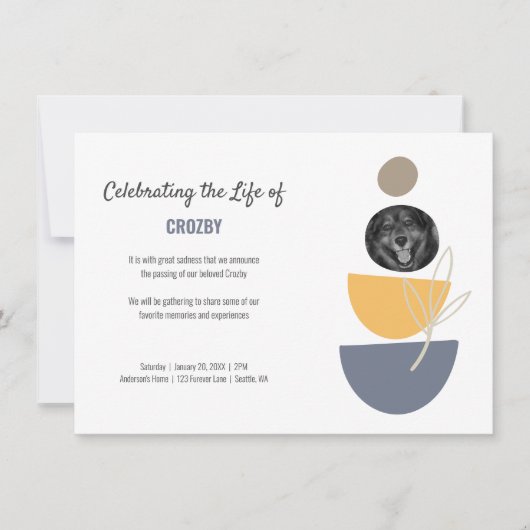 ペットモダン記念写真お祝いの生活 案内状 (正面)