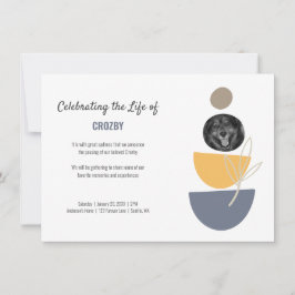 ペットモダン記念写真お祝いの生活 案内状