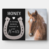 ペットモダン馬フォトメモリアル フォトプラーク (正面)