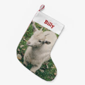 ペットヤギの恋人の写真と名前パーソナライズされた スモールクリスマスストッキング (正面 (吊り時))