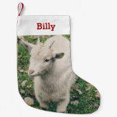 ペットヤギの恋人の写真と名前パーソナライズされた スモールクリスマスストッキング (正面)