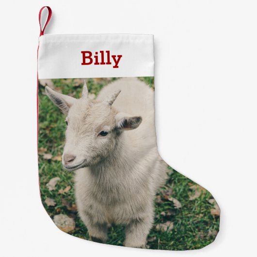 ペットヤギの恋人の写真と名前パーソナライズされた スモールクリスマスストッキング (正面)