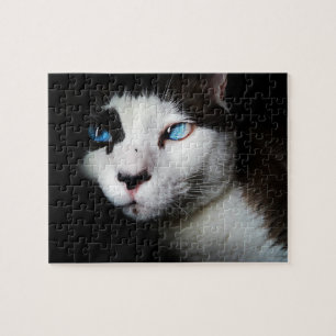 ペットライフ  白黒シャム猫ブルーアイズ写真 ジグソーパズル