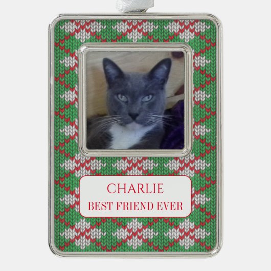 ペットラブフレームオーナメント+文字/クリスマスニット シルバープレートフレームオーナメント (正面)