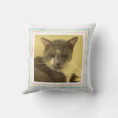 ペットラブペットフォト装飾用クッション/レインボー クッション (裏面)