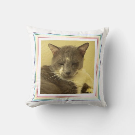 ペットラブペットフォト装飾用クッション/レインボー クッション (正面)