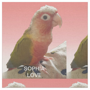 ペットラブ1モノグラムのフォトコラージュ ファブリック