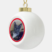 ペットラブ セラミック ボール オーナメント / 赤 (右)