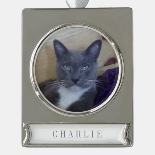 ペットラブ バナー オーナメント / シルバー (正面)