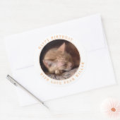 ペットラブ ラウンド バースデー スティッカー 大きめ ラウンドシール (封筒)