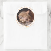 ペットラブ ラウンド バースデー スティッカー 大きめ ラウンドシール (バッグ)