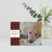 ペットリ素朴ストいけなレッドバッファロープレイドおもしろい シーズンポストカード (スタンド正面)