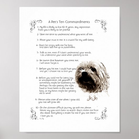 ペットルール – JoJoポスター ポスター (正面)